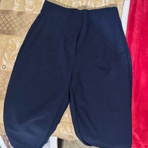 zara highwaisted pants